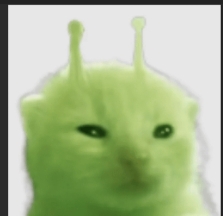 V1s Head